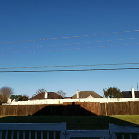 お久しぶりですの画像