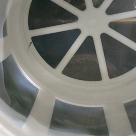 新しい命がーーΣ(๑º ﾛ º๑)の画像