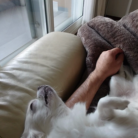 日曜の昼下り。の画像