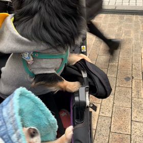 おでかけ☆の画像