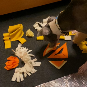 ノーズワークマットの画像