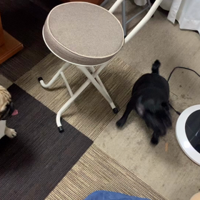 今日のさくらももこの画像