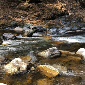 不思議な事の画像