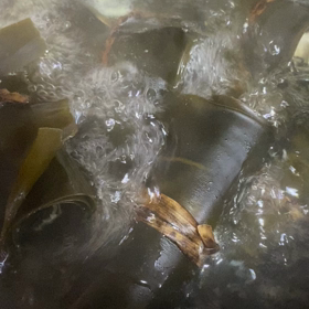 途中経過の画像