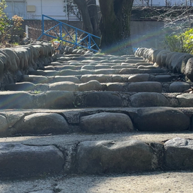 ゴリまっちょ爺さん犬の画像