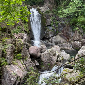 おはよう御座いますの画像