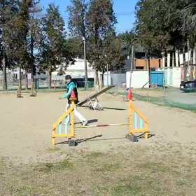 3/14(木)の画像
