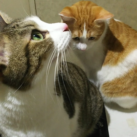 脱衣所にて♪の画像