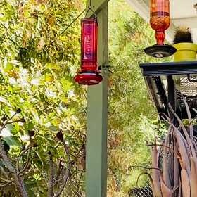 定休日のすすめ✨の画像