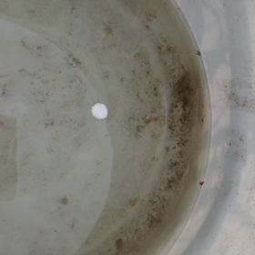 泳げジベラ錠の画像