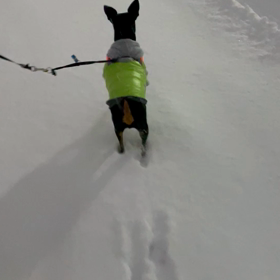 夕方は軽快に～の画像