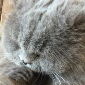 僕、綺麗好きの画像