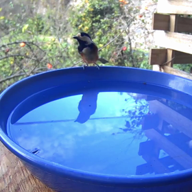 すぎぴたんの事件簿シーズン3　91話（触れられるかチャレンジ）の画像