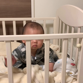 おーさん動画12の画像