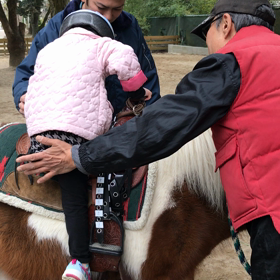 動画♡馬に乗ってレッツゴーの画像