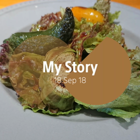 今日のランチの画像