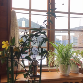 まだまだ春きませんの画像