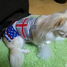 フリフリパンツは⁉の画像