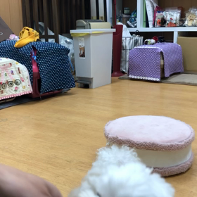 モコ編。の画像