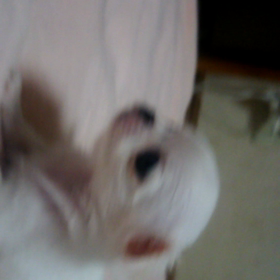 動画とってみたんやけど。の画像