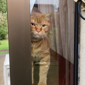 2023/09/02 今週のハナの画像