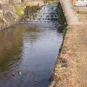 きょうの朝トレーニングの画像