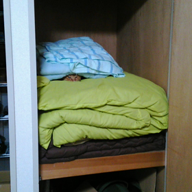 眠いにゃ～の画像