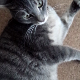 ちゅめたいぃぃぃ。の画像