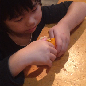 みかん狩りの画像