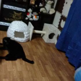 元気で元気に♪の画像