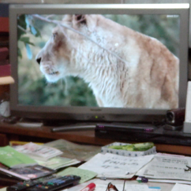 ビクビクしてる？の画像