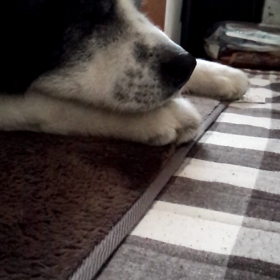 手を止めないでの画像