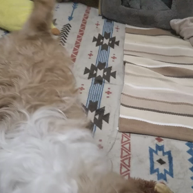 ガーデンピックの画像