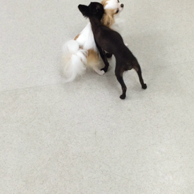 ♪プレイルーム動画♪の画像