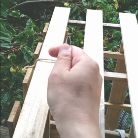 すぎぴたんの事件簿シーズン3　19話（祝！手から取ってくれました）の画像