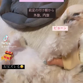 ジャズピラティスの画像