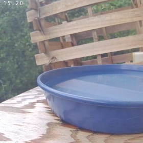 すぎぴたんの事件簿シーズン3　369話（ふたたび、メジロご来店  ）の画像