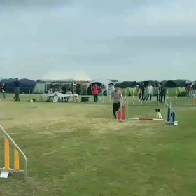 うたちゃんからのお便りですの画像