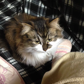 遊びたりないのね（笑）の画像