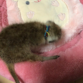 ありがとうございます♡の画像