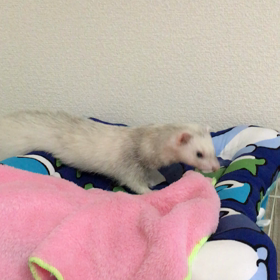 うい・萌え萌❤️の画像