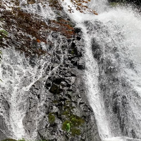 ９月のスケジュールの画像