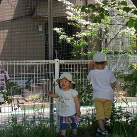 かーかーーーの画像