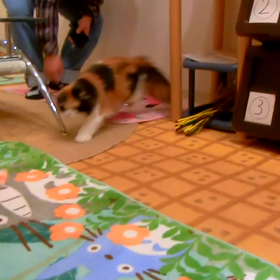 高価な？モ ノよりの画像