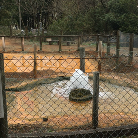 神秘な源泉の画像