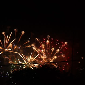 今年二回目の…の画像