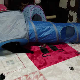 真夜中に開催中だよ！の画像