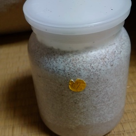 大丈夫みたい？？？の画像