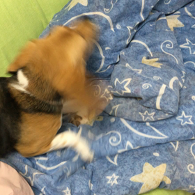 またやったな(*｀へ´*)の画像