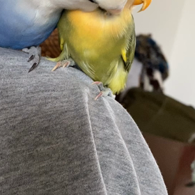 今日も仲良くの画像